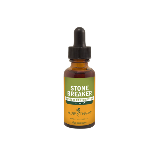 Stone Breaker (Chanca Piedra)