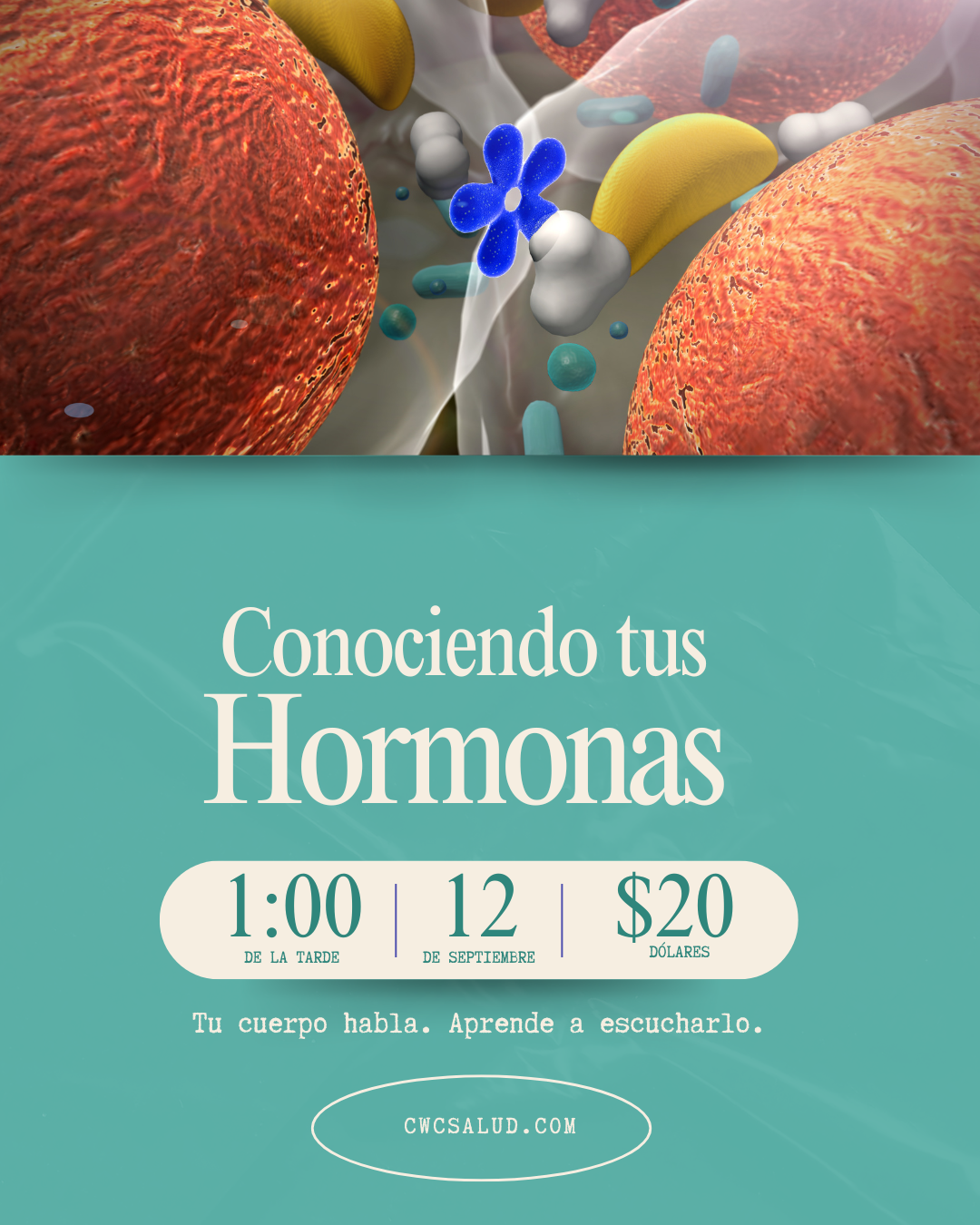 Charla Hormonas